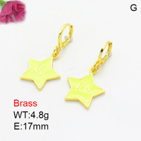 Fashion Brass Earrings  F3E301007aajk-G030