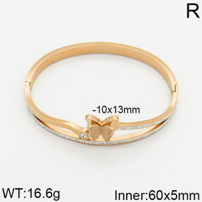 SS Bangle  2BA400002vhov-617