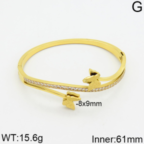 SS Bangle  2BA400005aivb-617