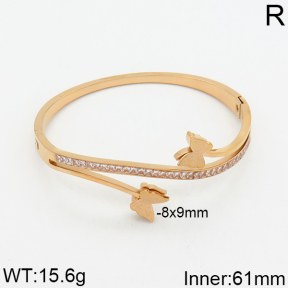 SS Bangle  2BA400006aivb-617