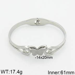 SS Bangle  2BA400007vhov-617