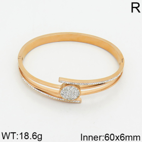 SS Bangle  2BA400012vhov-617