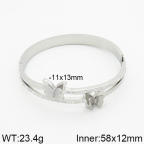 SS Bangle  2BA400019vhov-617