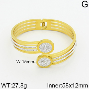 SS Bangle  2BA400023biib-617