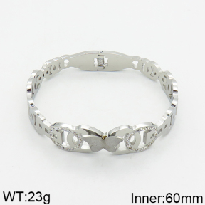 SS Bangle  2BA400025vhov-617