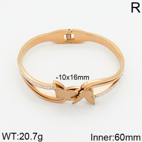 SS Bangle  2BA400030aivb-617