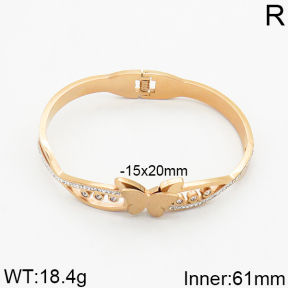 SS Bangle  2BA400033ahpv-617