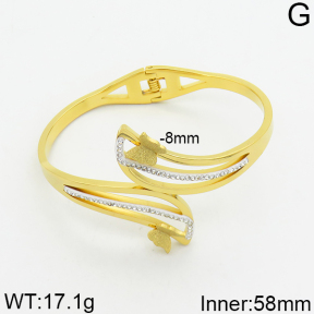 SS Bangle  2BA400035vhov-617