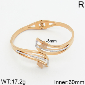 SS Bangle  2BA400036vhov-617