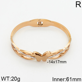 SS Bangle  2BA400039ahpv-617