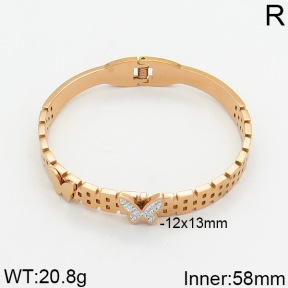 SS Bangle  2BA400048vhov-617