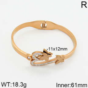 SS Bangle  2BA400057vhov-617