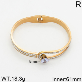 SS Bangle  2BA400069vhov-617