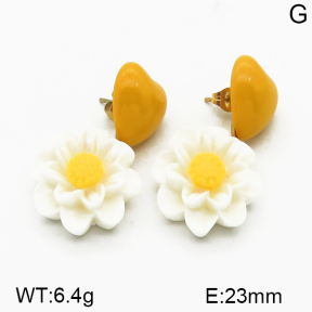 SS Earrings  5E3000043vbpb-628