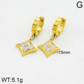 SS Earrings  TE2000011bhva-662