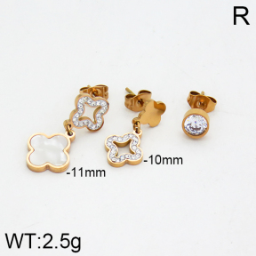 SS Earrings  TE2000016bhia-662