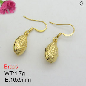 Fashion Brass Earrings  F3E200442baka-J125