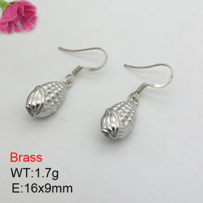 Fashion Brass Earrings  F3E200443baka-J125