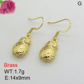 Fashion Brass Earrings  F3E200445baka-J125