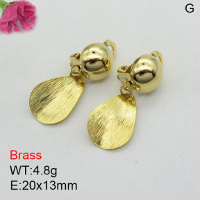 Fashion Brass Earrings  F3E200487bbml-J125