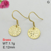 Fashion Brass Earrings  F3E200536aajo-J125