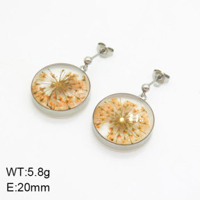 SS Earrings  3E3004939bbov-908