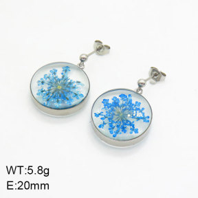 SS Earrings  3E3004941bbov-908