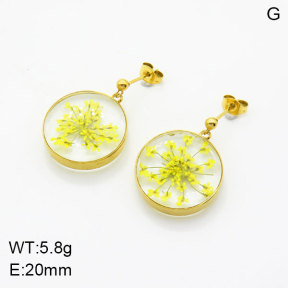 SS Earrings  3E3004946vbpb-908