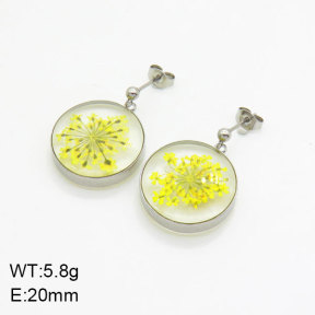 SS Earrings  3E3004947bbov-908