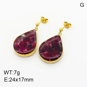 Natural  Garnet SS Earrings  3E4003350bhia-908