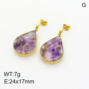 Natural  Amethyst SS Earrings  3E4003352bhia-908