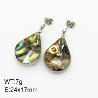 Natural  Abalone Shell SS Earrings  3E4003357vhha-908