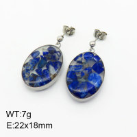 Natural  Lazurite SS Earrings  3E4003361vhha-908
