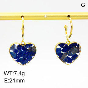 Natural  Lazurite SS Earrings  3E4003374bhjl-908