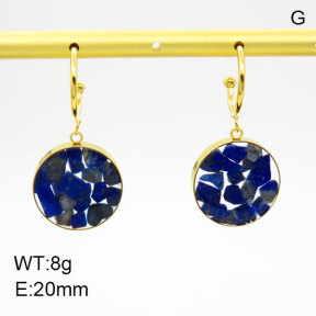 Natural  Lazurite SS Earrings  3E4003388bhjl-908