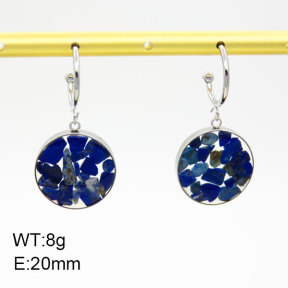 Natural  Lazurite SS Earrings  3E4003389bhil-908