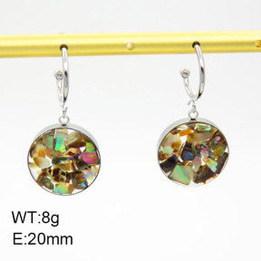 Natural  Abalone Shell SS Earrings  3E4003399bhil-908