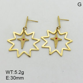 SS Earrings  3E4003343ablb-693