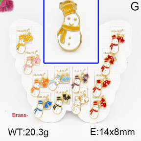 Fashion Brass Earrings  F5E300070vhmv-K01