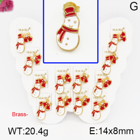 Fashion Brass Earrings  F5E300073vhmv-K01