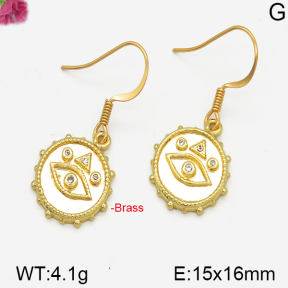 Fashion Brass Earrings  F5E400183bbov-J125