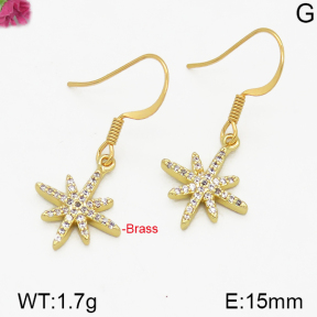 Fashion Brass Earrings  F5E400184vbpb-J125