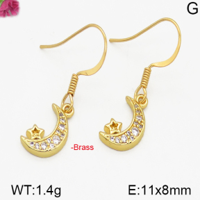 Fashion Brass Earrings  F5E400185bbov-J125