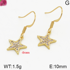 Fashion Brass Earrings  F5E400189bbov-J125