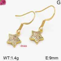 Fashion Brass Earrings  F5E400195vbpb-J125