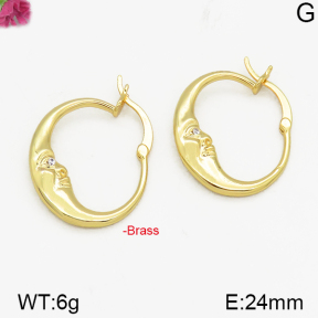 Fashion Brass Earrings  F5E400204bbov-J125