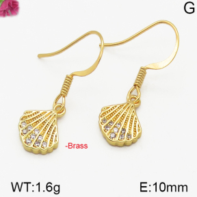 Fashion Brass Earrings  F5E400206bbov-J125