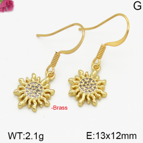 Fashion Brass Earrings  F5E400214bbov-J125