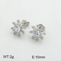 925 Silver Earrings  JE0000495vila-L20