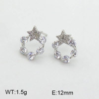 925 Silver Earrings  JE0000505aill-L20